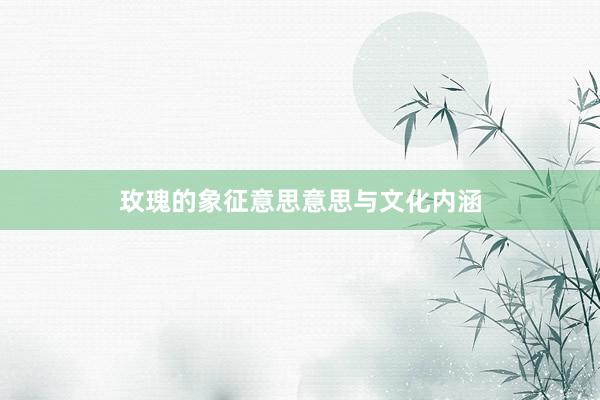 玫瑰的象征意思意思与文化内涵