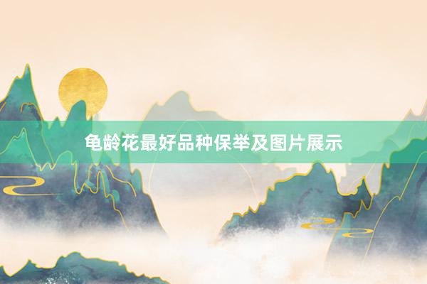 龟龄花最好品种保举及图片展示