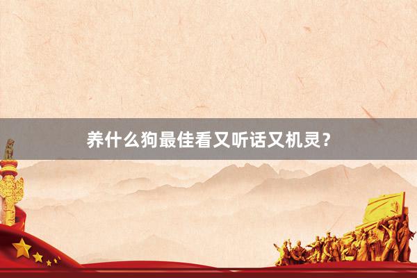 养什么狗最佳看又听话又机灵？