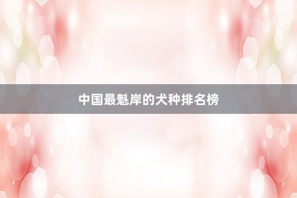 中国最魁岸的犬种排名榜